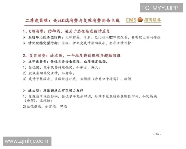 重庆羽毛球队防守策略分析与比赛表现评估