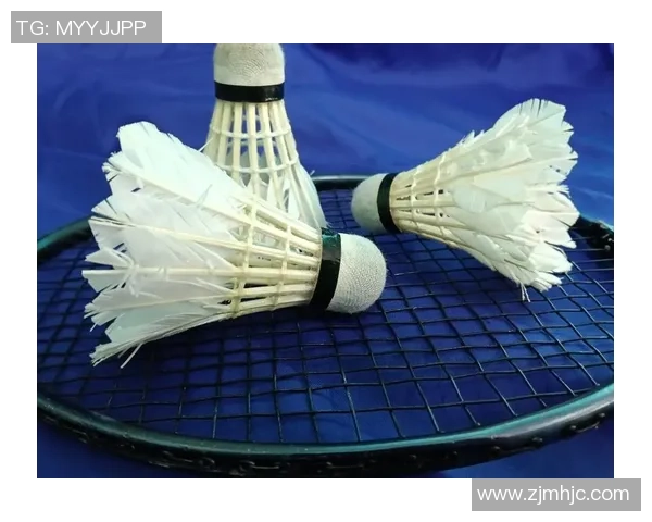 从零起步掌握羽毛球节奏技巧全面指南助你轻松上手与提升