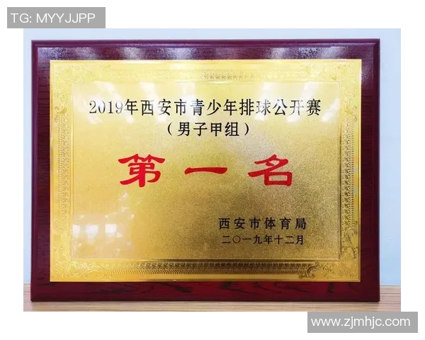 深圳排球队在全国排球灵活性排行榜中荣获第八名的佳绩分析