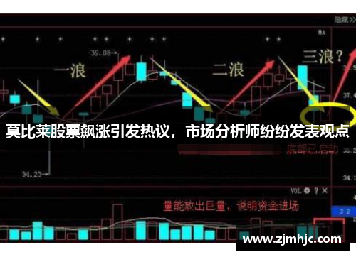 莫比莱股票飙涨引发热议，市场分析师纷纷发表观点