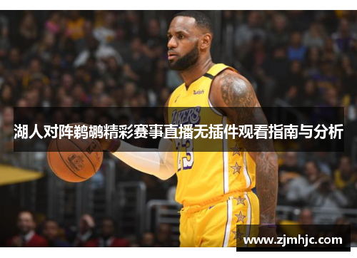 湖人对阵鹈鹕精彩赛事直播无插件观看指南与分析